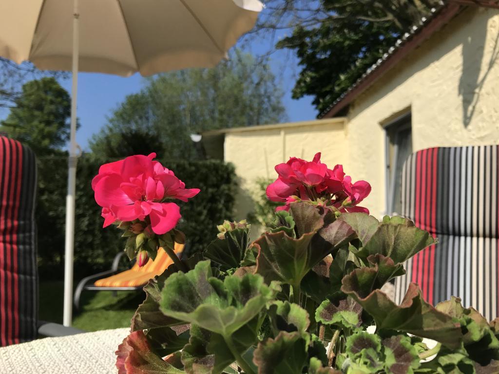Zum Nordstrand Prerow Exterior foto